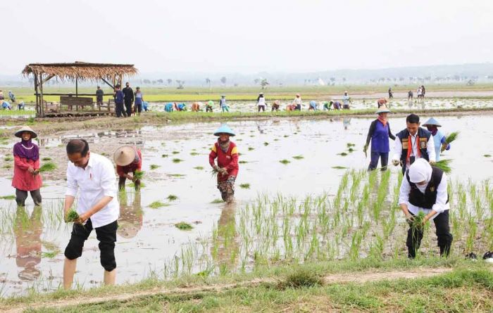 Jaga Produktivitas, Gubernur Khofifah Komitmen Dorong Percepatan Masa Tanam Padi