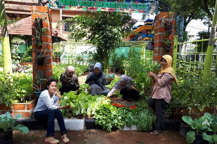 Lebih Sejuk, Kantor Kecamatan Tuban Punya Taman Agro dan Kebun Buah