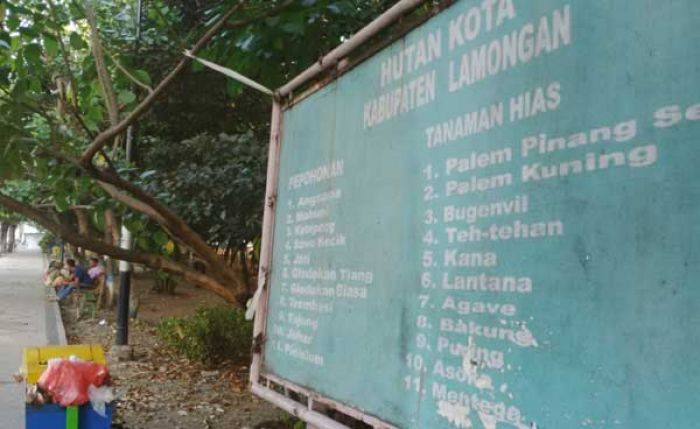 Hutan Kota Lamongan Kumuh dan tak Terurus