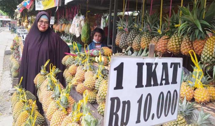 Nanas Khas Gunung Kelud Jadi Incaran Wisatawan saat Musim Liburan, Segini Harganya