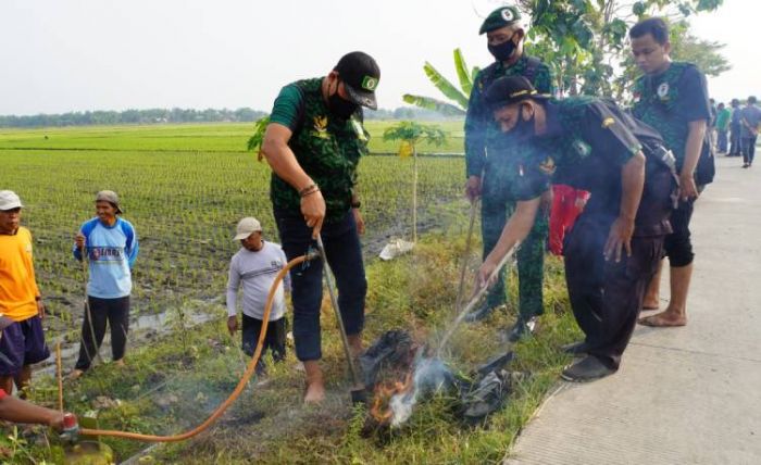 Amankan Sektor Pangan, GPK Jombang Bantu Petani Gropyokan Tikus