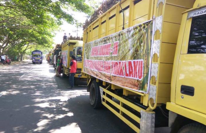 Tolak Gula Impor dan Pajak 10 Persen, 400 Sopir Truk Tebu di Kediri Mogok