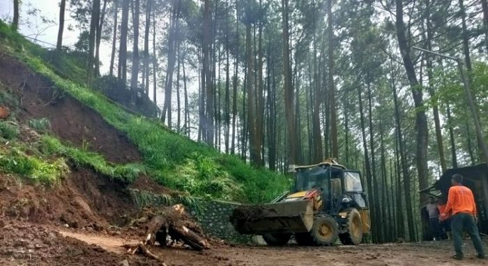 Tebing Setinggi 7 Meter di Tutur Longsor, Pemkab Pasuruan Terjunkan Alat Berat