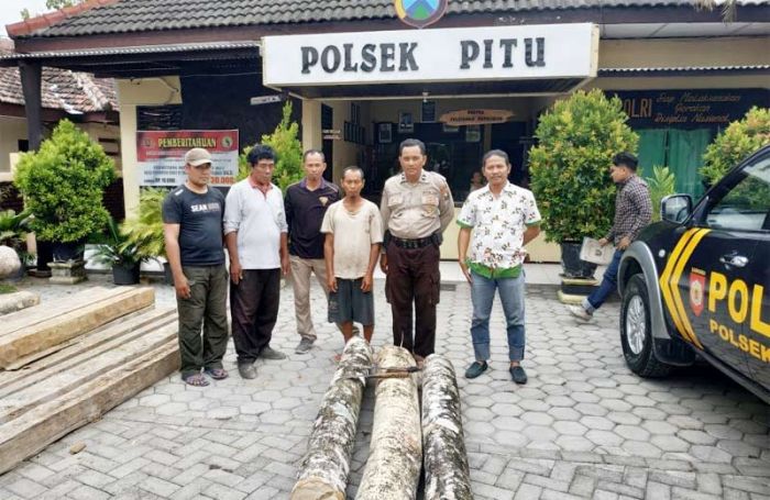 Gergaji Pohon di Lahan Perhutani, Warga Ngawi Diciduk