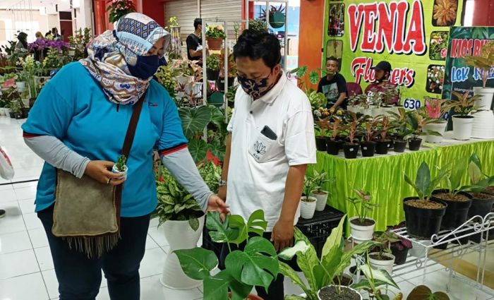 Pengusaha Bunga Hias Tetap Eksis di Tengah Pandemi