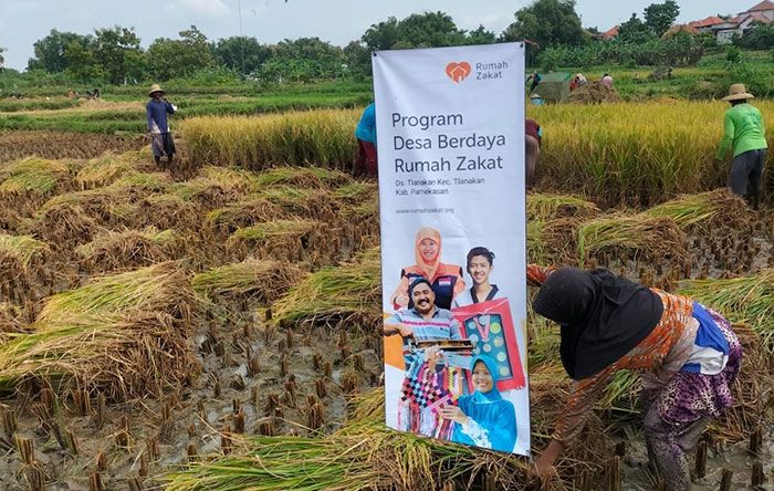 ​Pupuk Subsidi Langka, Rumah Zakat Bantu Petani di Tlanakan Pamekasan