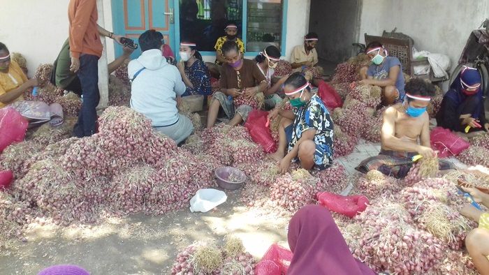 Begini Cara Buruh Pembersih Bawang Merah di Kota Probolinggo Rayakan Harlah Pancasila