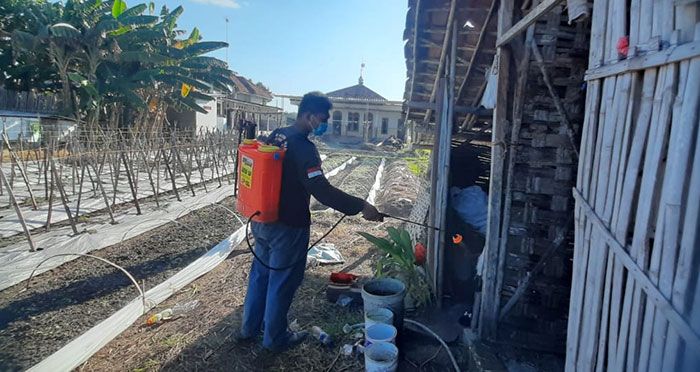 Antisipasi Virus PMK, FRPB Pamekasan Semprotkan Disinfektan ke Kandang Peternak Sapi di Wilayahnya