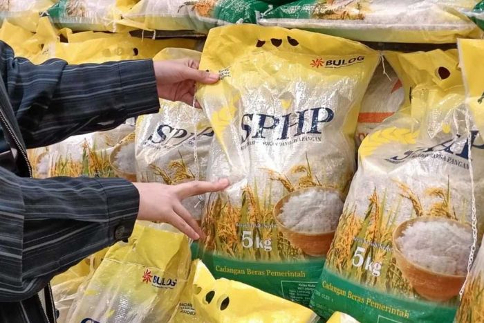 Sebut Harga Beras Kembali Normal, Dirut Bulog: Masyarakat Tak Perlu Khawatir