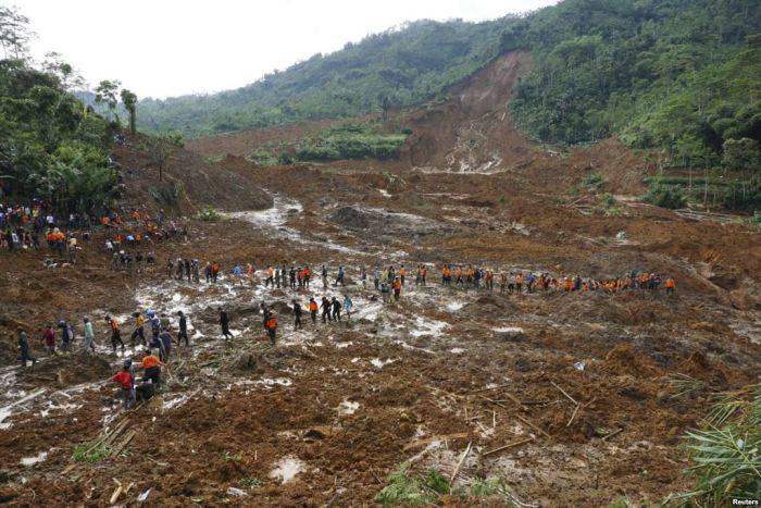 Misteri Ribuan Lele Yang Muncul Sebelum Longsor Banjarnegara