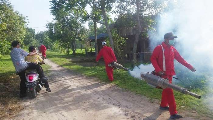 Jelang Akhir Tahun, DBD Renggut Korban Jiwa di Madiun