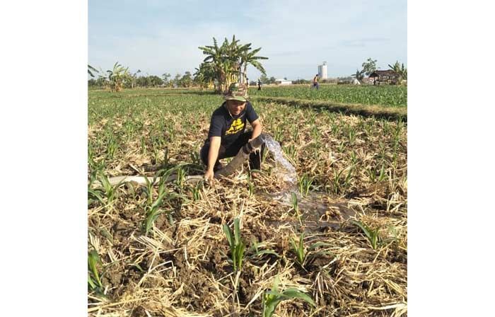 Menangkan Khofifah-Emil, RGS Tuban Galang Dukungan Petani, Petambak, dan Buruh