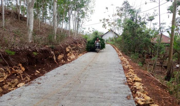 Jalan Sudah Halus, Warga Kedungsalam Bawa Rumput Tanpa Hambatan