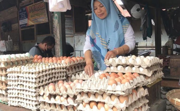 Harga Telur Melambung, Warga Blitar Beralih ke Telur Bentesan