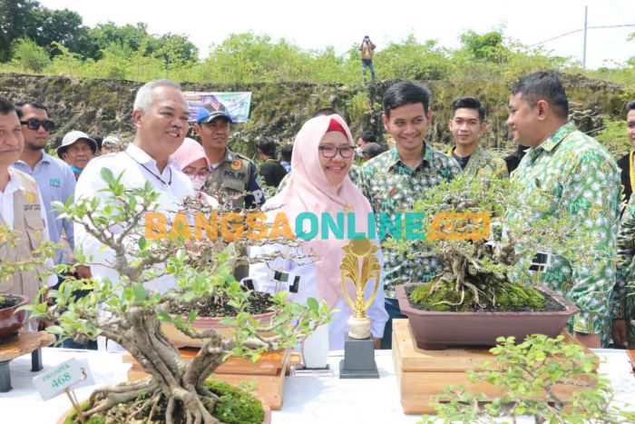 Ribuan Bonsai Bernilai Miliaran Rupiah Dipamerkan di Gresik