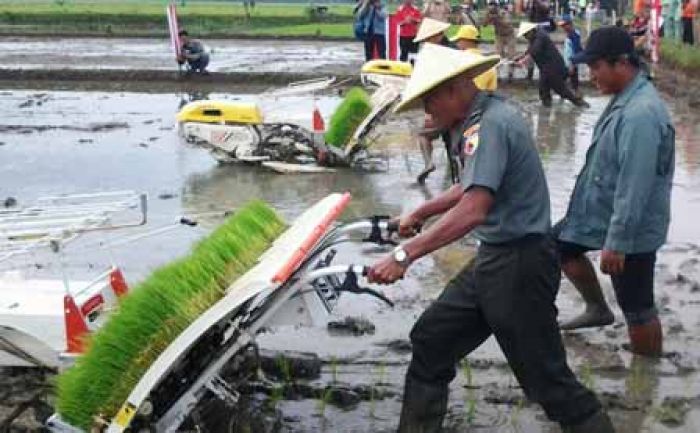 Petani Tenggalek Dimanjakan dengan mesin Rice Transplanter