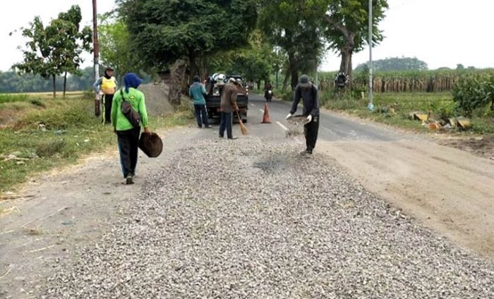 Reaksi Cepat Dinas PUPR Jombang Lakukan Pemeliharaan Jalan dan Jembatan