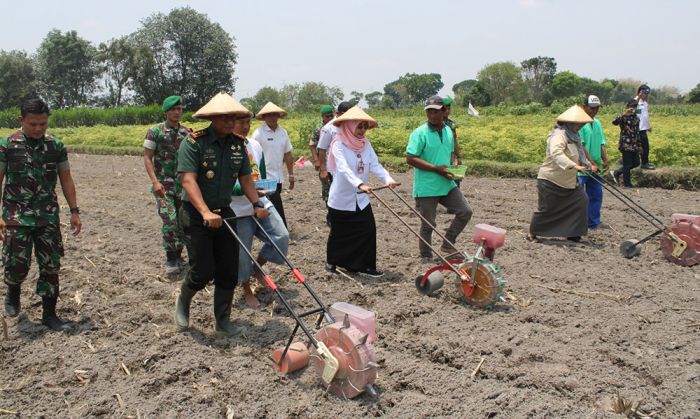 Sinergi Wujudkan Ketahanan Pangan Nasional yang Kokoh