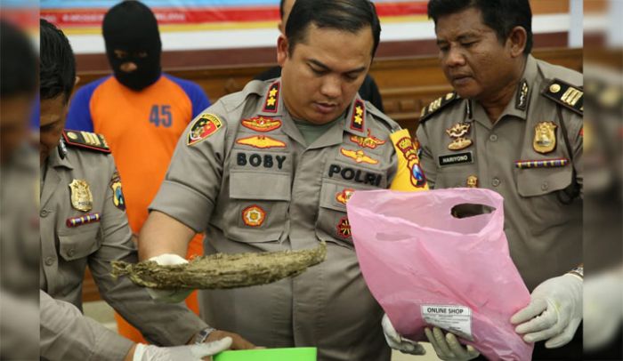 Kapolres Jombang Berhasil Ungkap Peredaran Ganja Senilai 100 Juta Rupiah