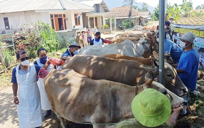 Pantau Keberhasilan IB, Pemkab Pasuruan Intens Monitoring Peternak Dua Minggu Sekali