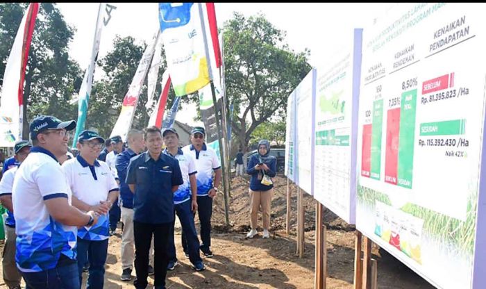 Produktivitas Tebu di Mojokerto Meroket, Upaya Pupuk Indonesia Dukung Swasembada Gula Nasional