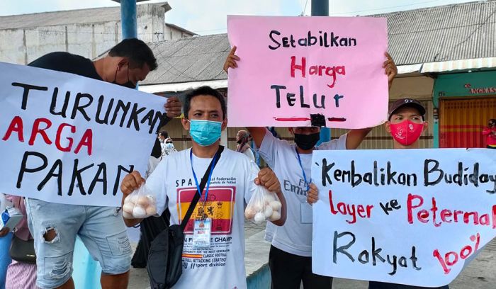 Tuntut Harga Pakan Diturunkan, Ratusan Peternak Ayam di Ringinrejo Bagi-Bagi Telur