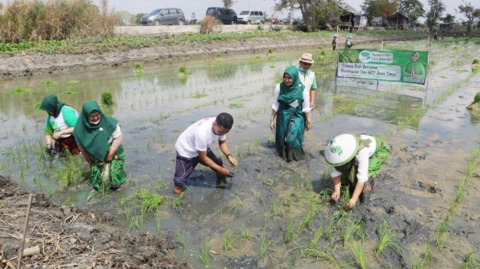 Perempuan Tani HKTI Jatim Lakukan Tandur Bareng Petani