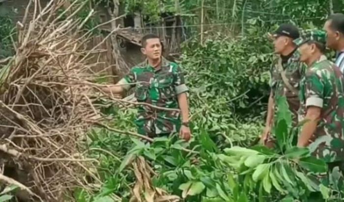 Ratusan TNI/Polri Bantu Evakuasi Rumah Korban Puting Beliung di Probolinggo