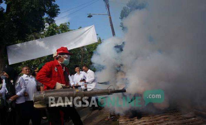 Kasus DBD di Jombang Meningkat, Tahun 2016, 11 Nyawa Melayang