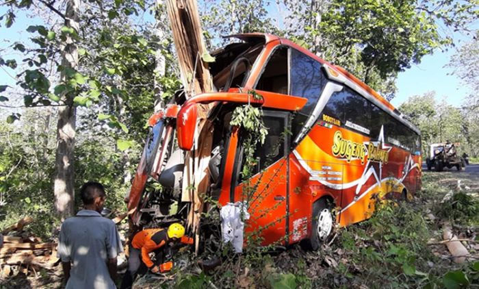 Sopir Diduga Mengantuk, Bus Sugeng Rahayu Masuk Parit di Ngawi