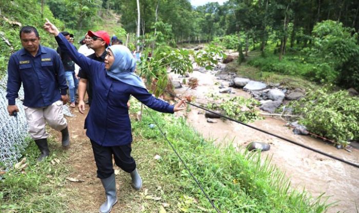 Usai Karhutla, Reboisasi Gunung Argopuro Dilakukan Dengan Tabur Biji Lewat Udara