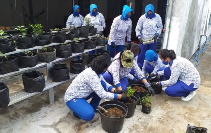 Dukung Program Ketahanan Pangan, Guspurla Koarmada II Manfaatkan Lahan Kosong Jadi Perkebunan