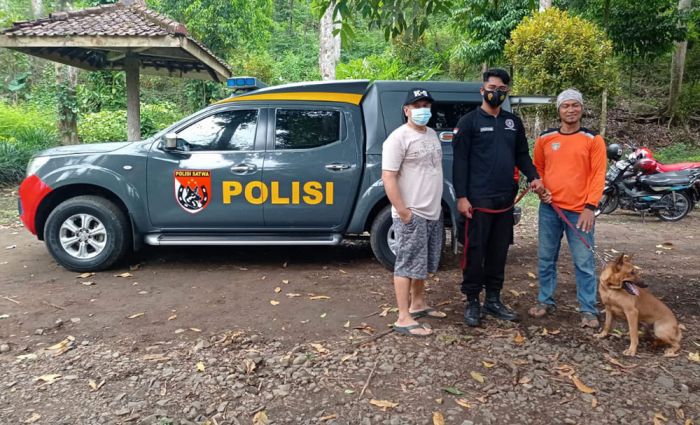 Dapat Bantuan Anjing Pelacak, Wana Rescue Kediri Siap Bantu Hutan Kawasan Mana pun