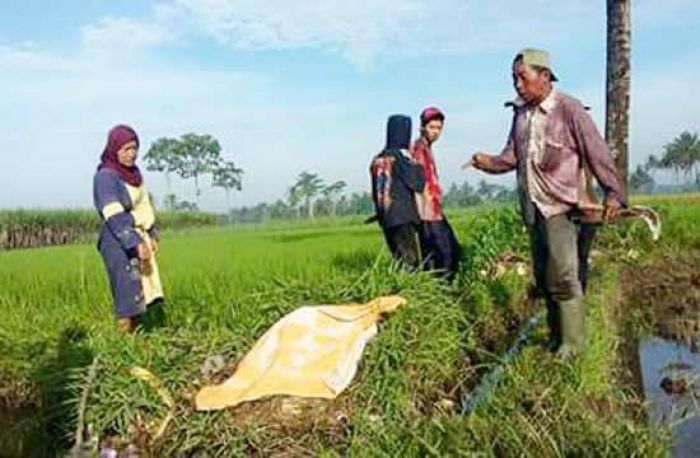 Bocah 2 Tahun yang tenggelam di Saluran Irigasi Ditemukan Meninggal Dunia