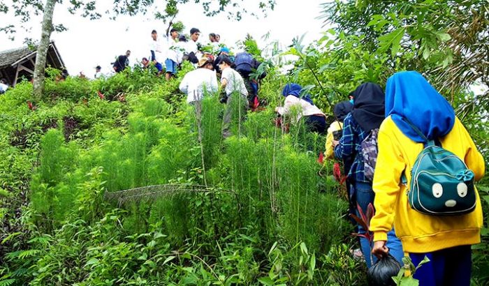 Wisata Gunung Kelud Kian Memesona