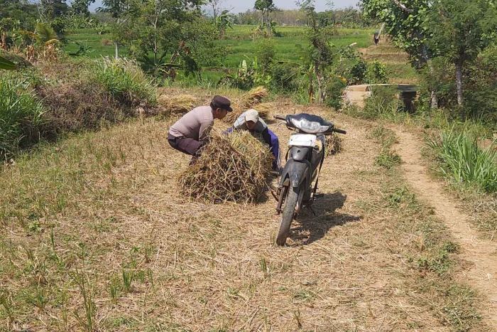 Gelar Patroli Dialogis, Polsek Ngrambe Dekatkan Diri dengan Para Petani