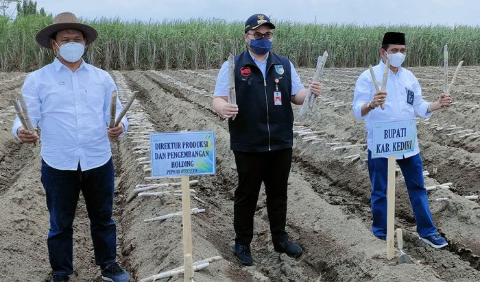 Bupati Kediri Apresiasi Program Makmur untuk Petani Tebu yang Dijalankan PTPN X