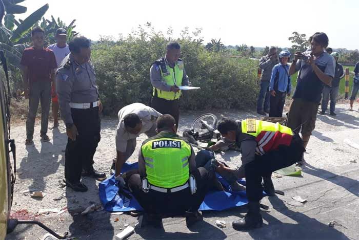 Diseruduk Truk Box, Pedagang Tempe Asal Bojonegoro Tewas