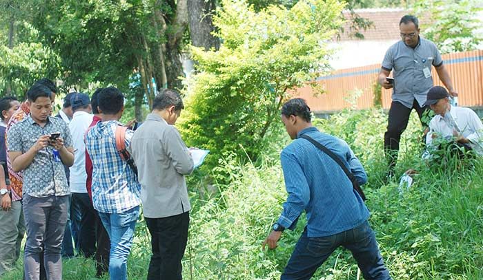 Puluhan Pohon Sonokeling di Sepanjang Jalan Tulungagung-Trenggalek Raib 