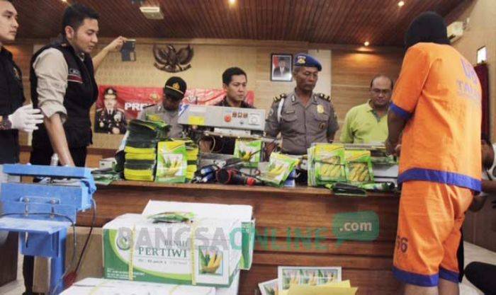 Palsukan Bibit, Warga Semampir Kediri Diringkus 