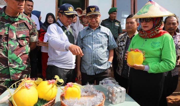 ​Bupati Tuban Minta Petani Terus Berinovasi