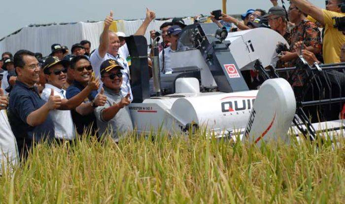 Jokowi Batal Panen Raya di Jombang