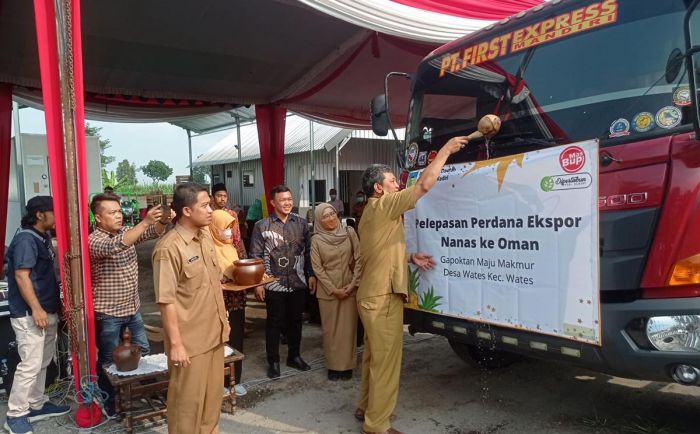 Nanas Kediri Diekspor ke Oman, Dhito Berharap Buka Peluang untuk Produk Hortikultura Lainnya