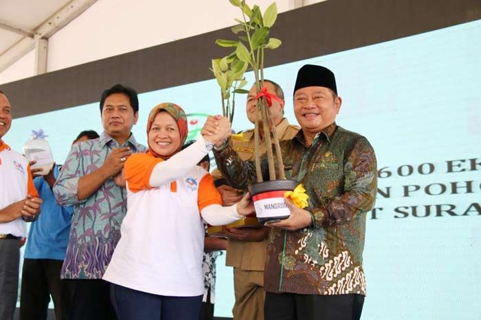 KKP RI Serahkan 1.000 Bibit Bakau ke Pemkab SIdoarjo