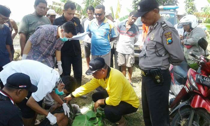 Seorang Kakek di Ngawi Ditemukan Meninggal di Sawahnya Sendiri