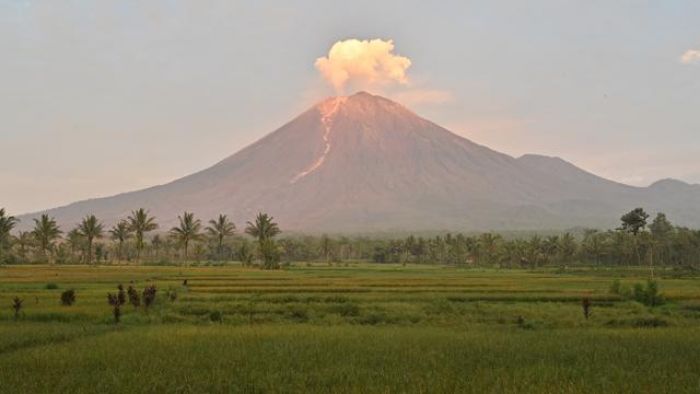 Erupsi Gunung Semeru: Menyingkap Kisah Tragis Aktivis Soe Hok Gie di Gunung Semeru