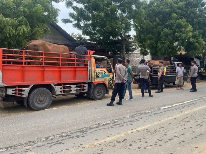 Cegah Penyebaran PMK, Polsek Bancar Gelar Penyekatan Kendaraan Pengangkut Hewan di Tuban