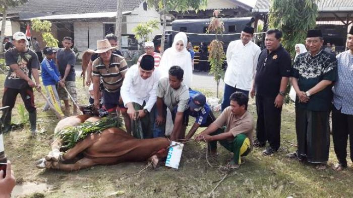 ​Polda Jatim dan Polres Pamekasan Kurban 29 Sapi di Hari Raya Idul Adha 1440 H