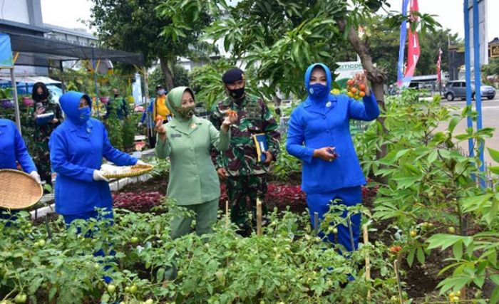 Sambut HUT ke-74, Jalasenastri Daerah Armada II Gelar Lomba Pekarangan Pangan