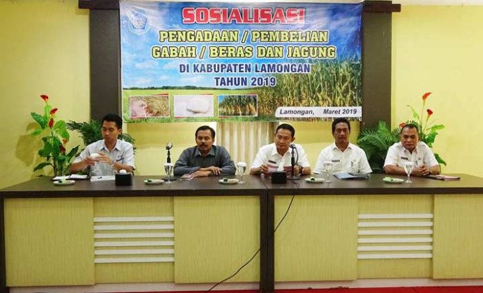 Pemkab Lamongan Pasarkan Jagung ke Blitar